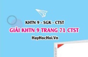 Giải KHTN 9 trang 71 Chân trời sáng tạo SGK